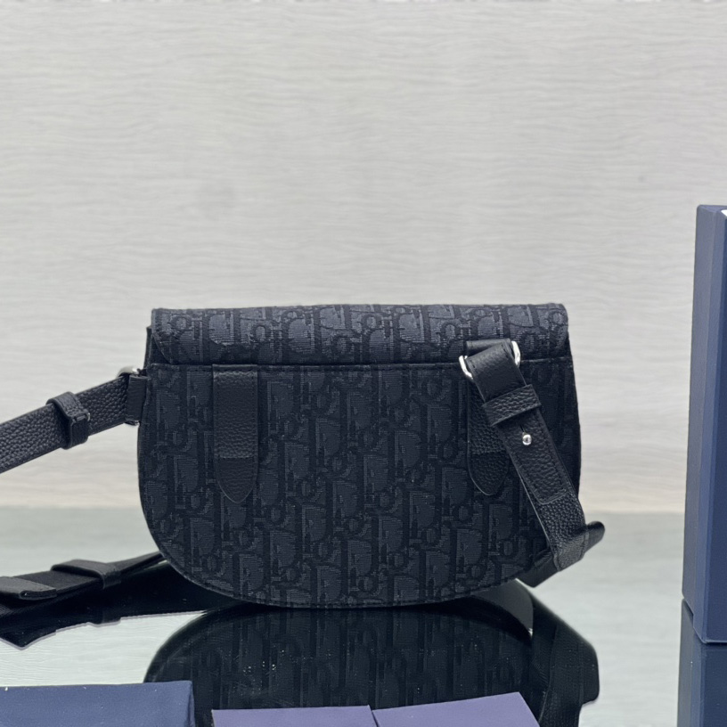 Dior Saddle Pouch - 