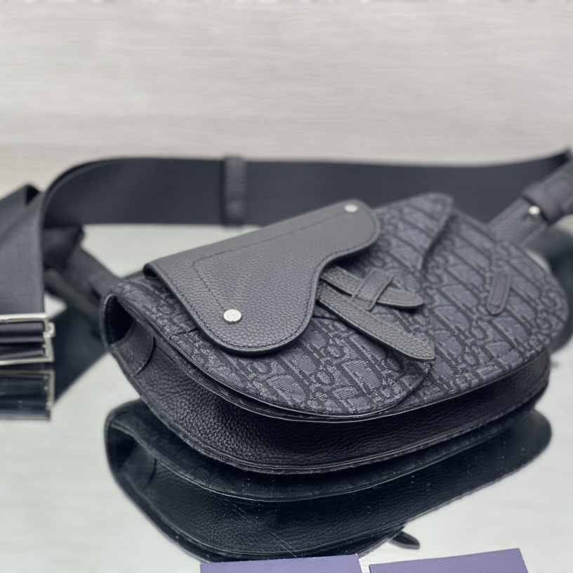 Dior Saddle Pouch - 