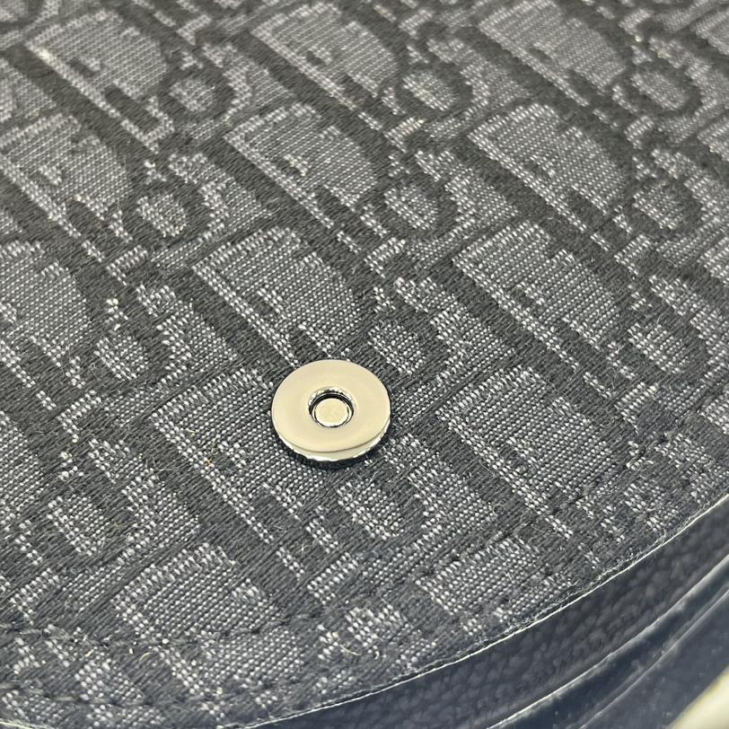 Dior Saddle Pouch - 