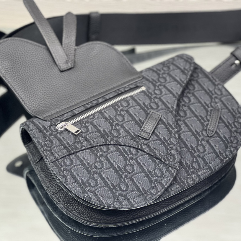 Dior Saddle Pouch - 