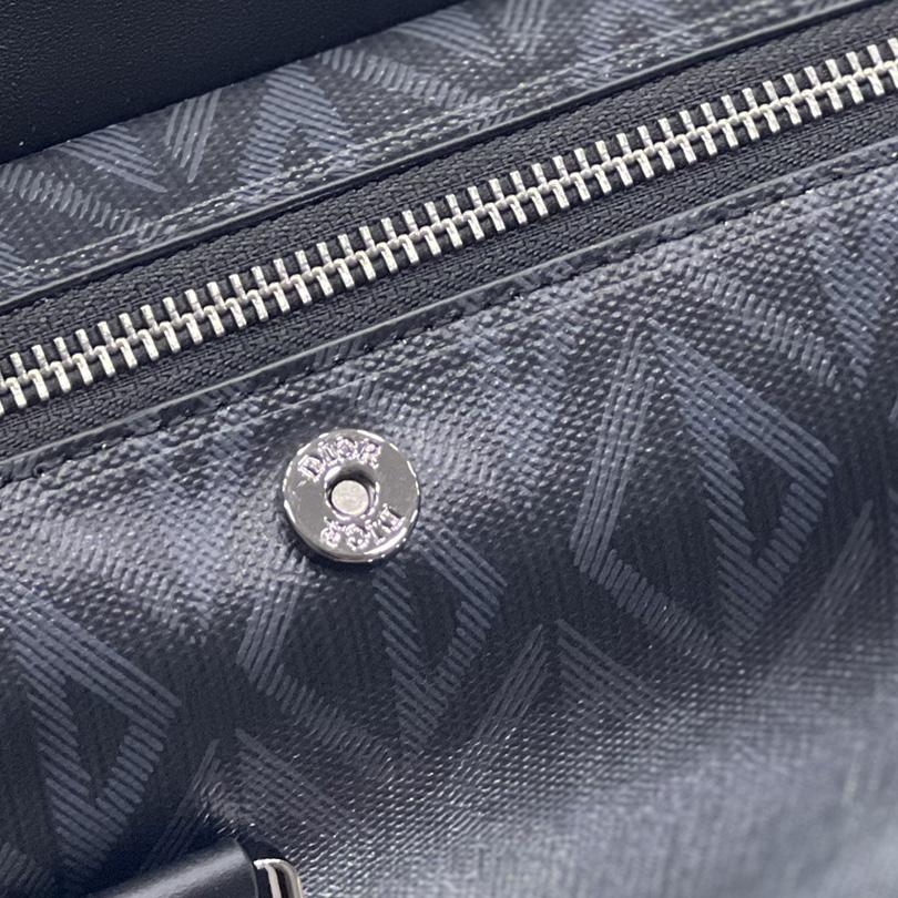 Dior Lingot Briefcase  - 