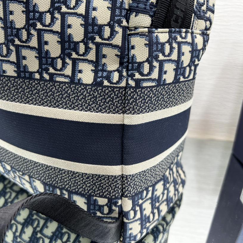 Dior Diortravel Backpack  - 