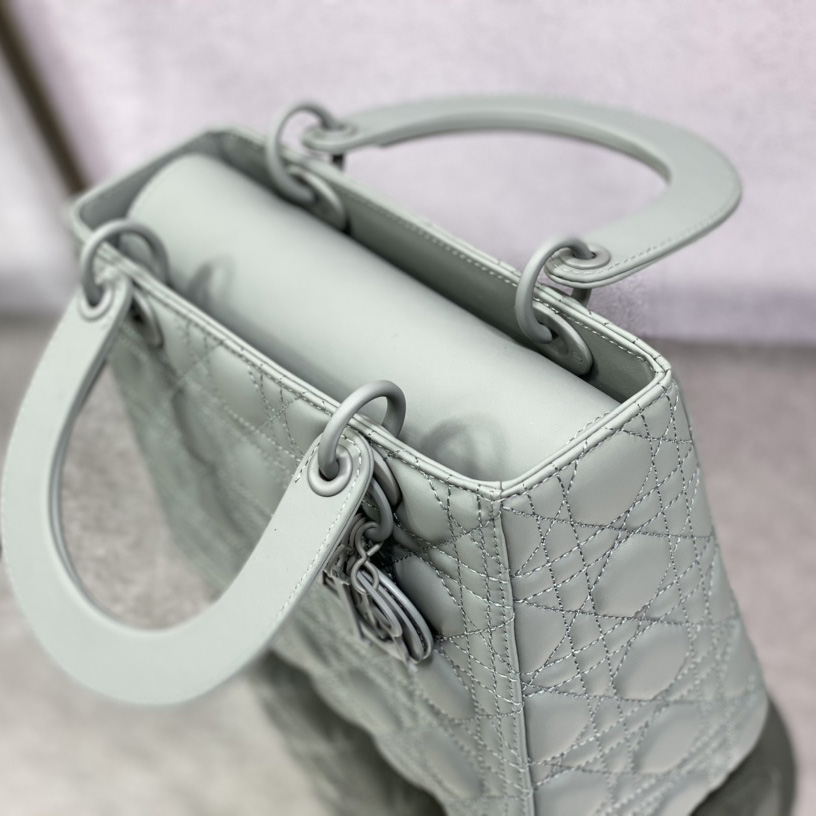 Dior Medium Lady Dior Bag - 