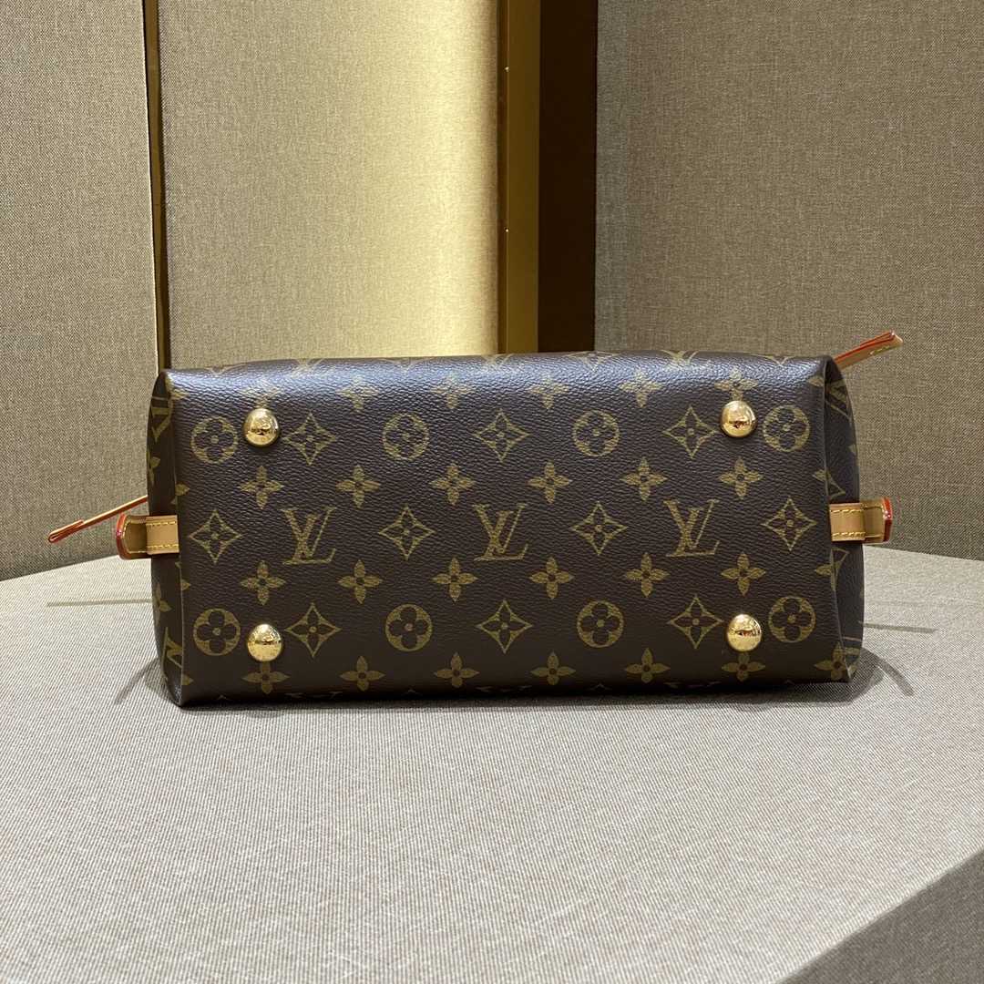 Louis Vuitton CarryAll PM (29-24-12cmCM)   M46203 - 