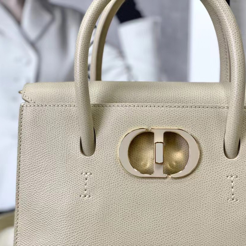 Dior Medium St. Honore Tote (25 -19-12 cm) - 