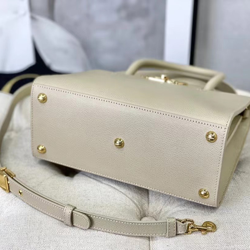 Dior Medium St. Honore Tote (25 -19-12 cm) - 