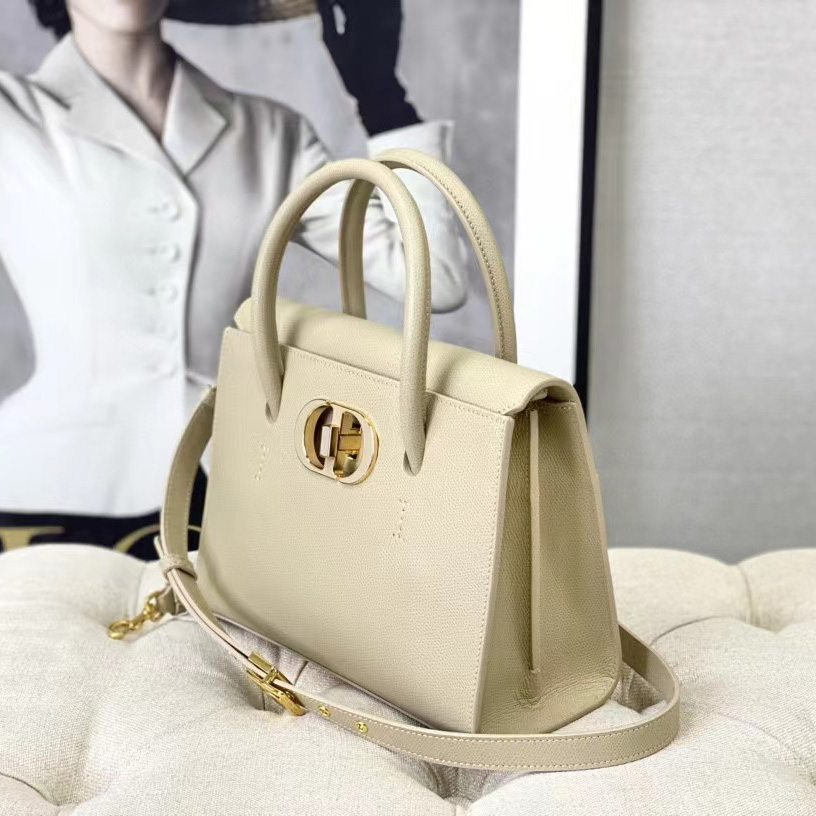 Dior Medium St. Honore Tote (25 -19-12 cm) - 