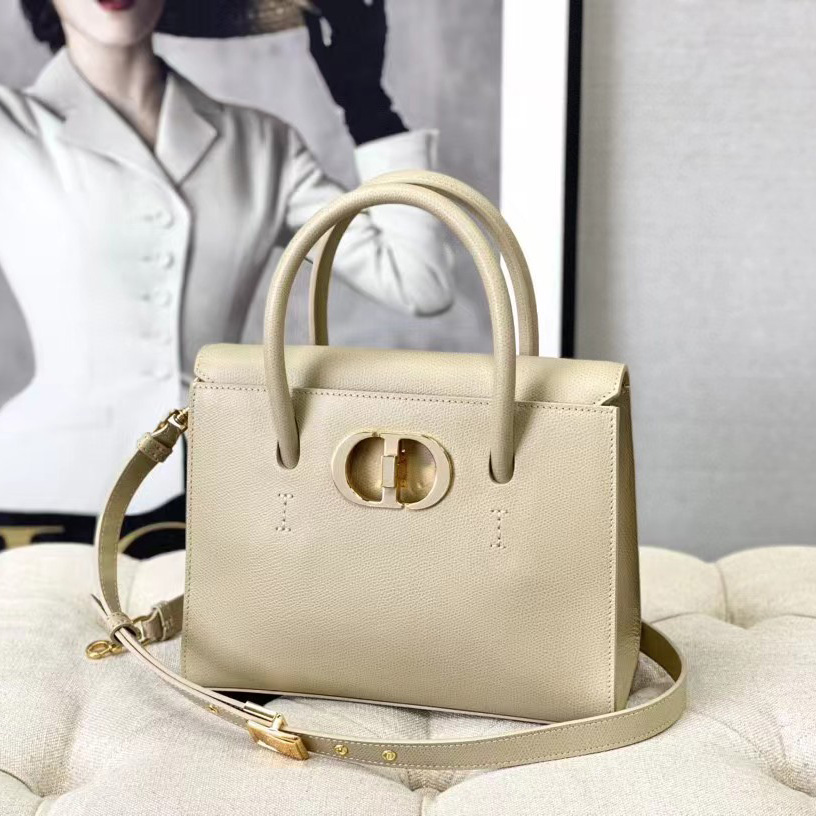 Dior Medium St. Honore Tote (25 -19-12 cm) - 