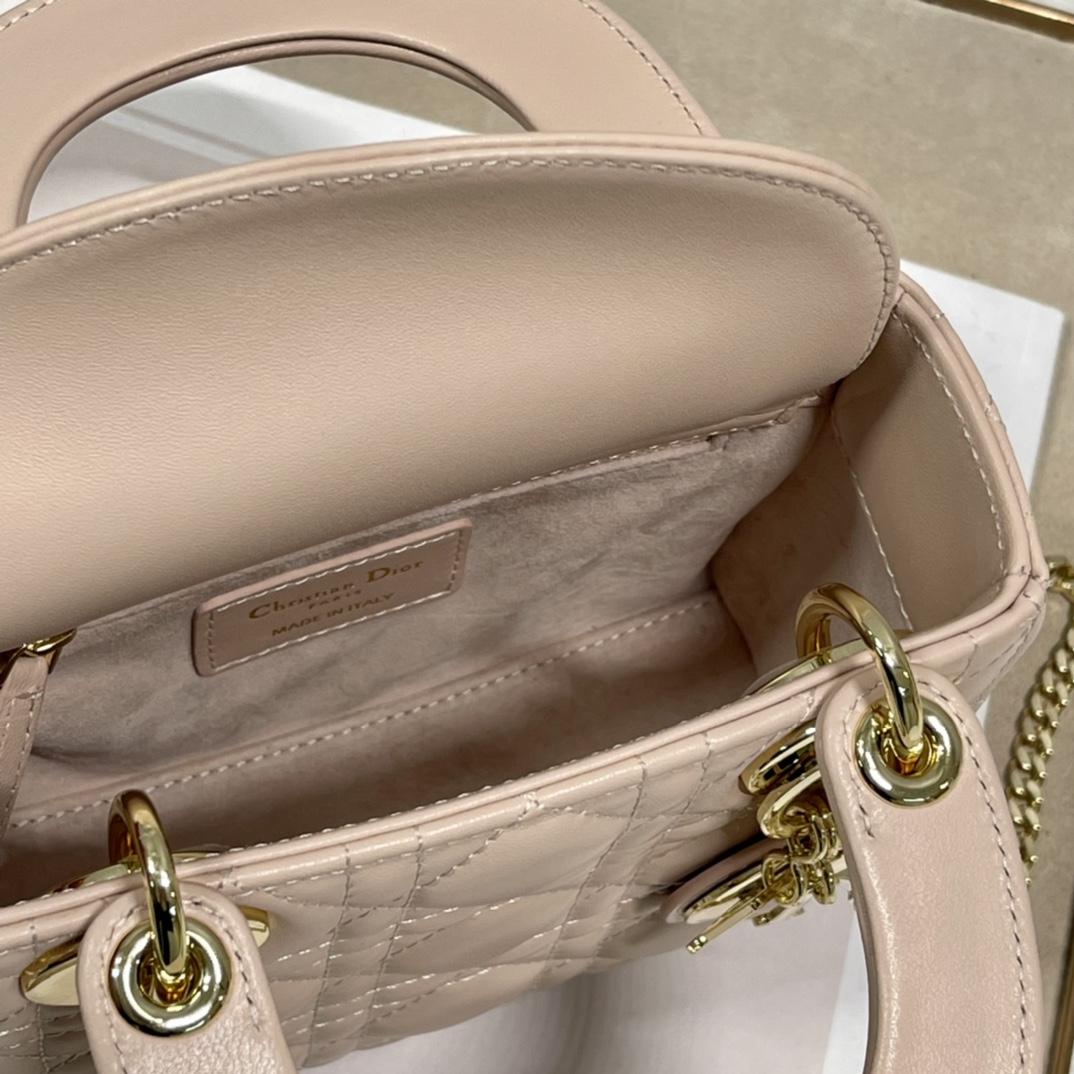 Dior Lady Dior Bag  (17 x 7.5x 14cm) - 
