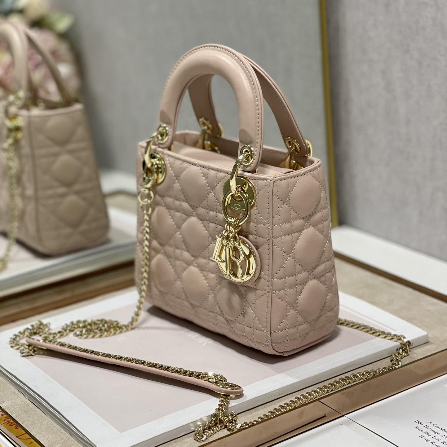 Dior Lady Dior Bag  (17 x 7.5x 14cm) - 