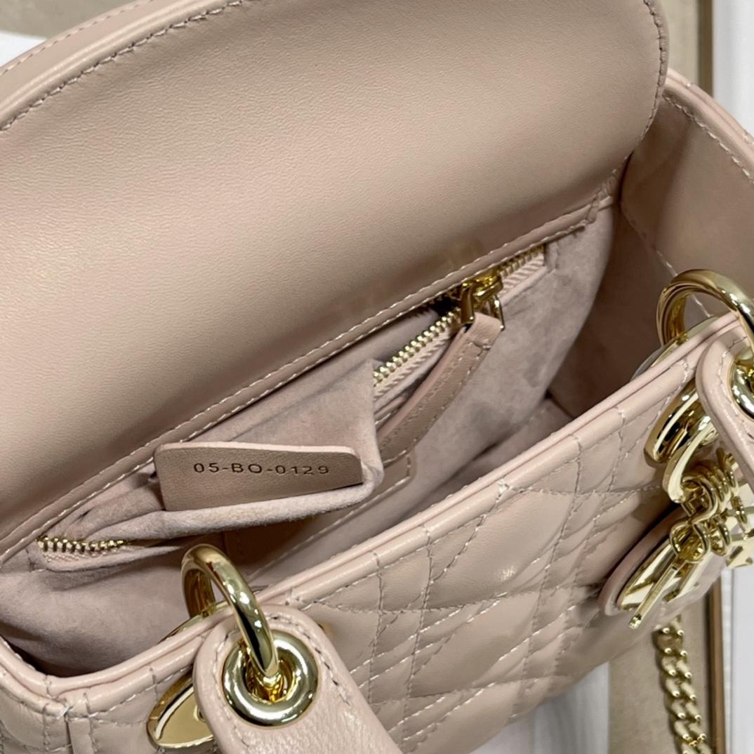 Dior Lady Dior Bag  (17 x 7.5x 14cm) - 