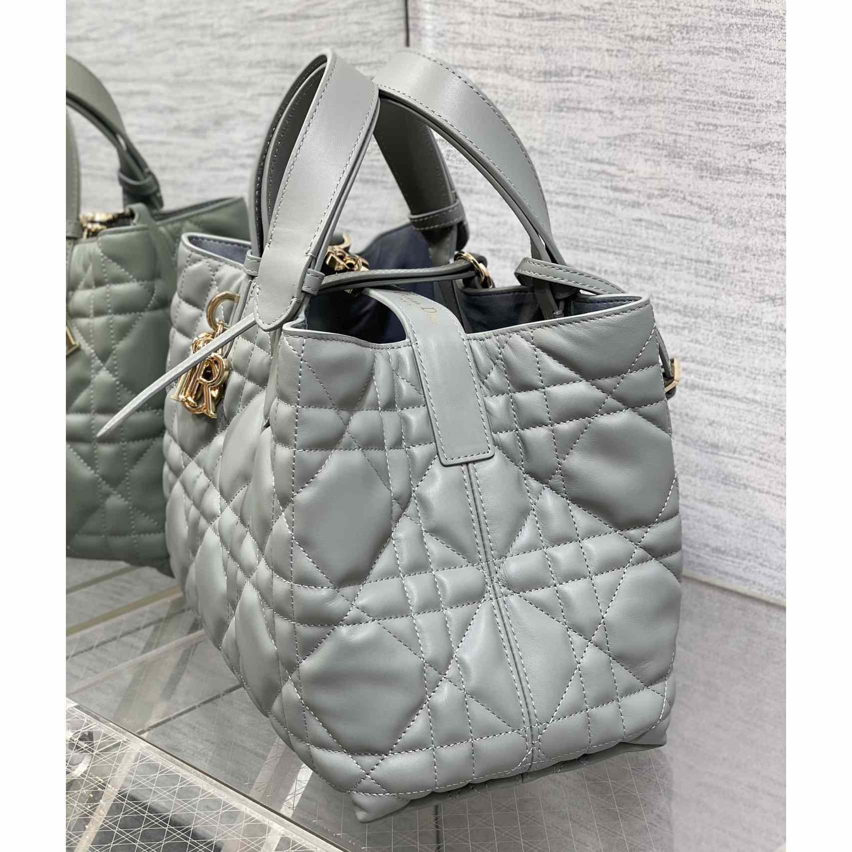 Dior Medium Dior Toujours Bag - 