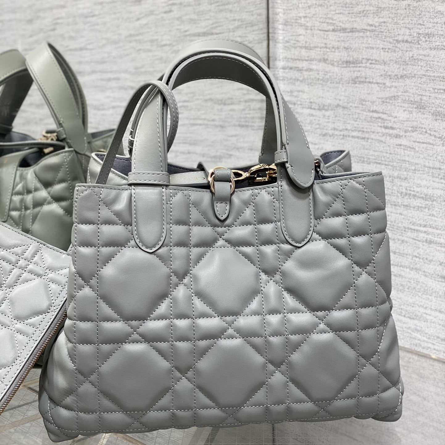 Dior Medium Dior Toujours Bag - 