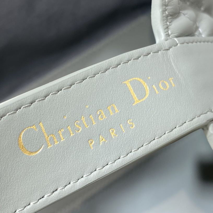 Dior Medium Dior Toujours Bag - 