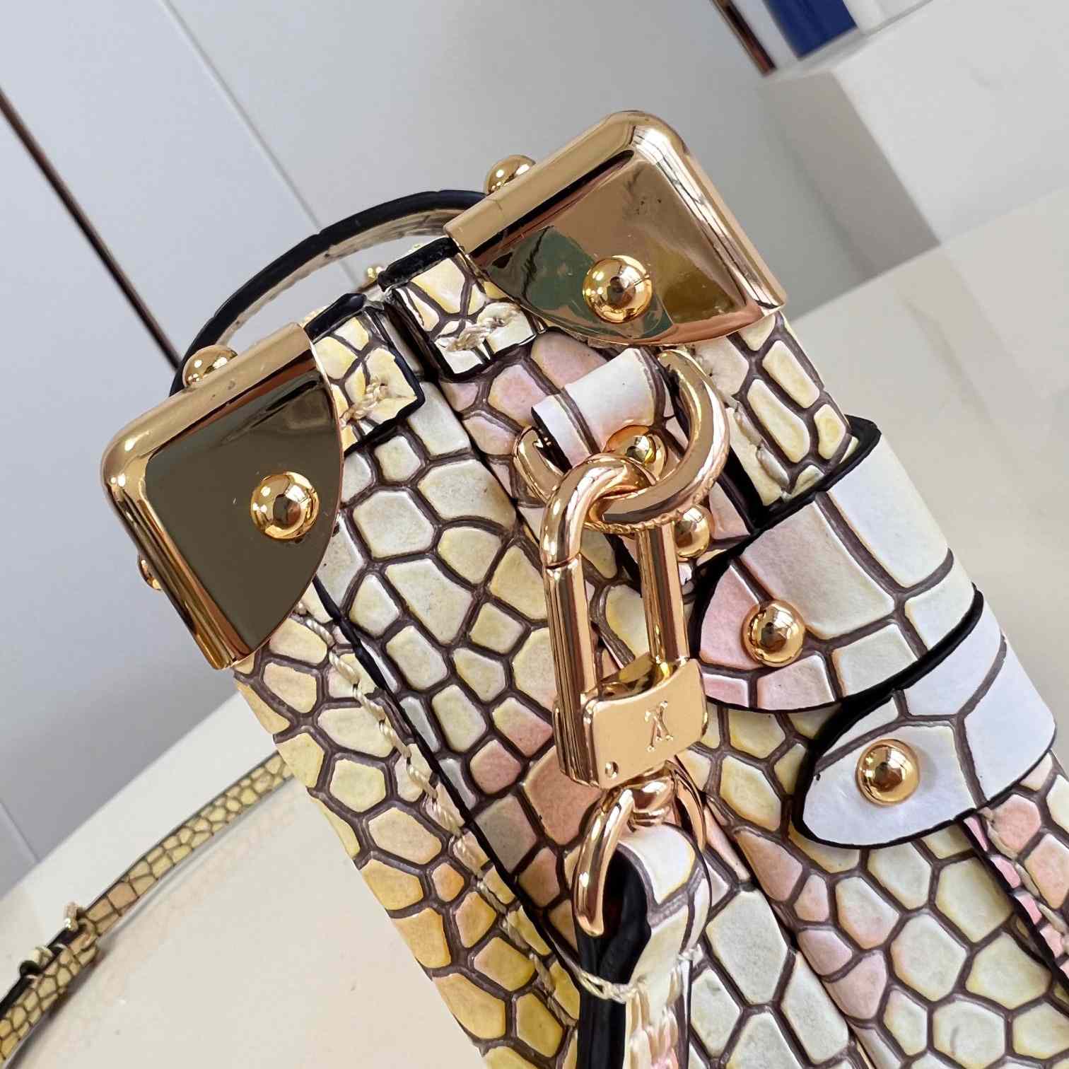 Louis Vuitton Petite Malle (20 x 12.5 x 5cm)   N82327 - 