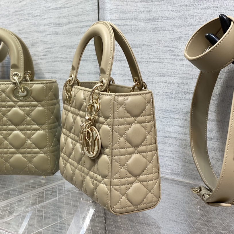 Dior Medium Lady Dior Bag - 