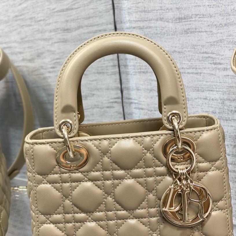 Dior Medium Lady Dior Bag - 
