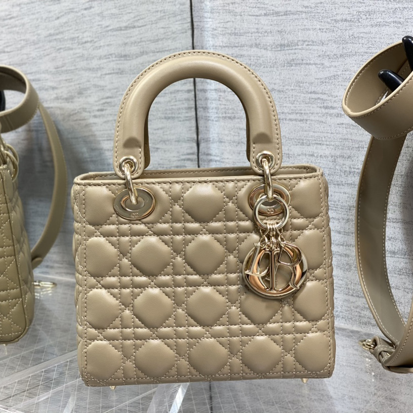 Dior Medium Lady Dior Bag - 
