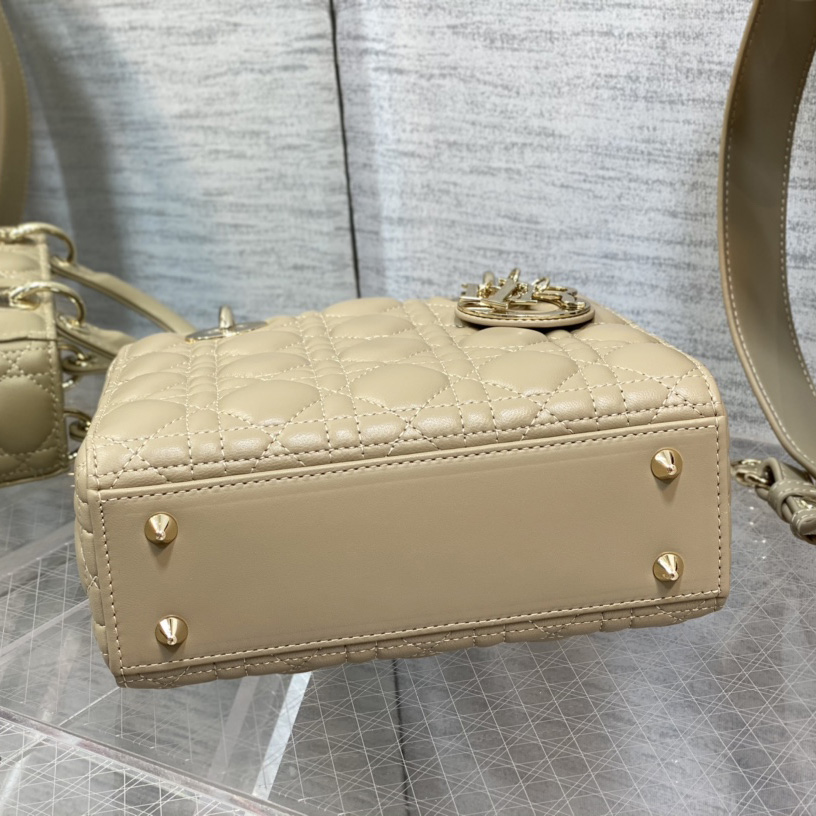Dior Medium Lady Dior Bag - 