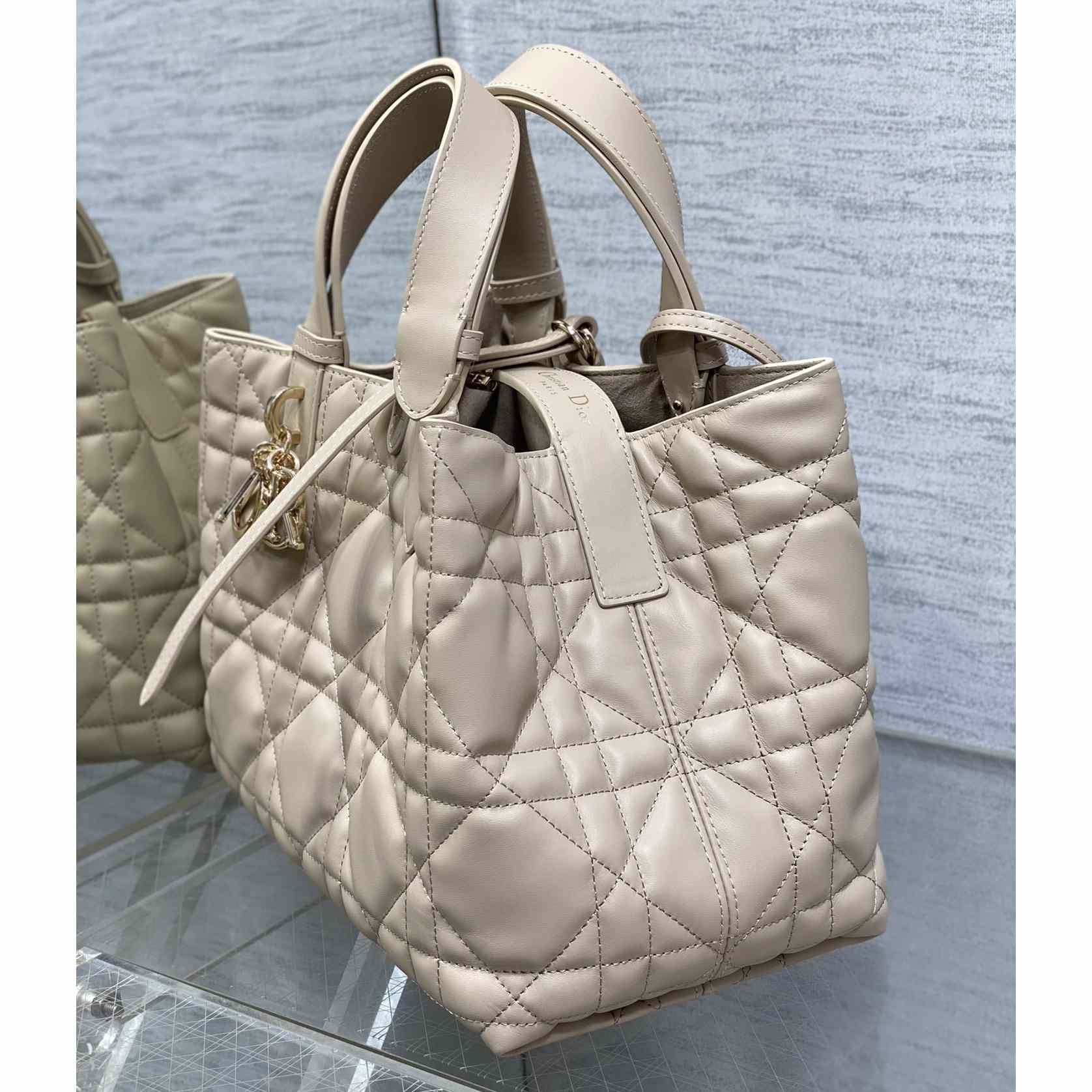 Dior Medium Dior Toujours Bag - 