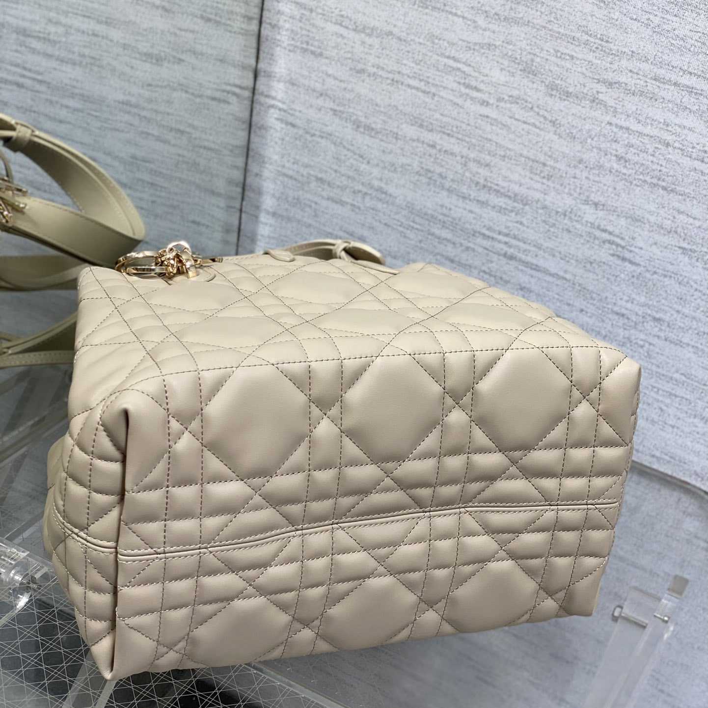 Dior Medium Dior Toujours Bag - 
