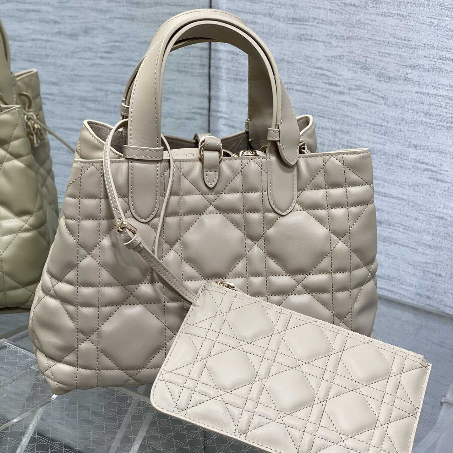 Dior Medium Dior Toujours Bag - 