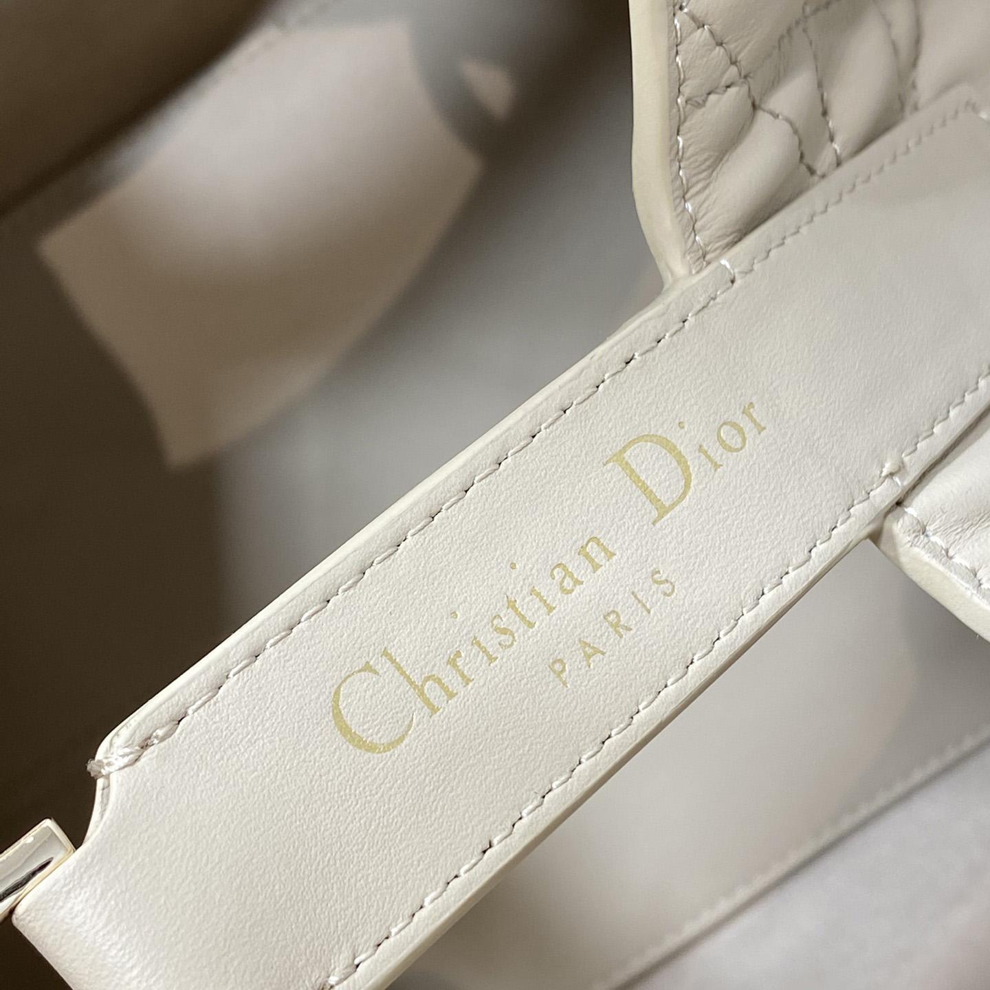 Dior Medium Dior Toujours Bag - 
