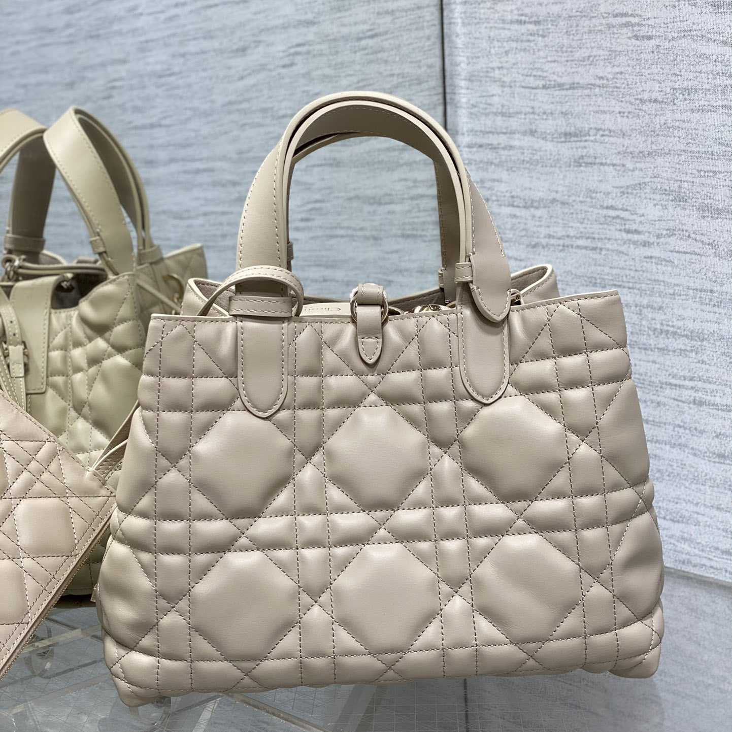 Dior Medium Dior Toujours Bag - 