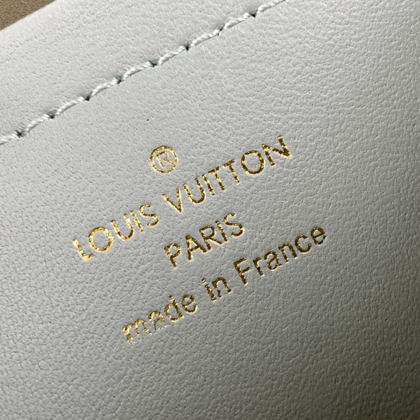 Louis Vuitton Pochette Coussin (20-14-8cm)   M82474 - 