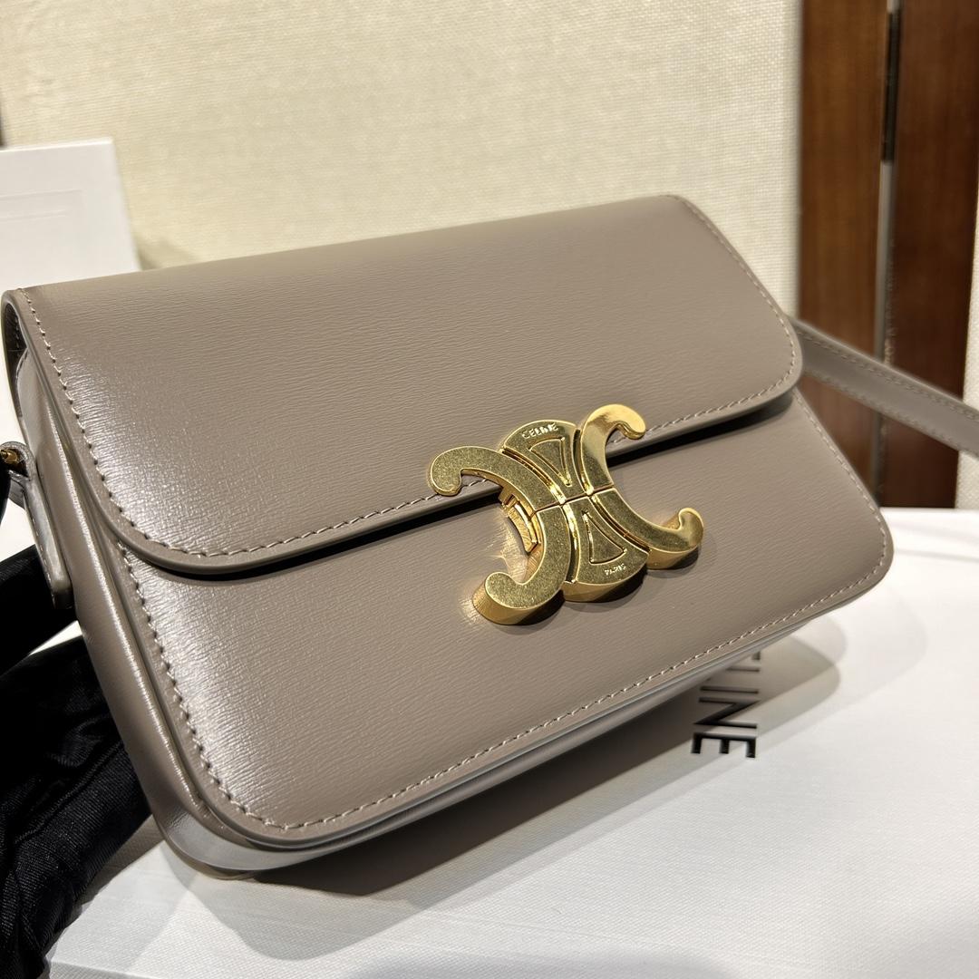 Celine Teen Triomphe Bag In Shiny Calfskin - 