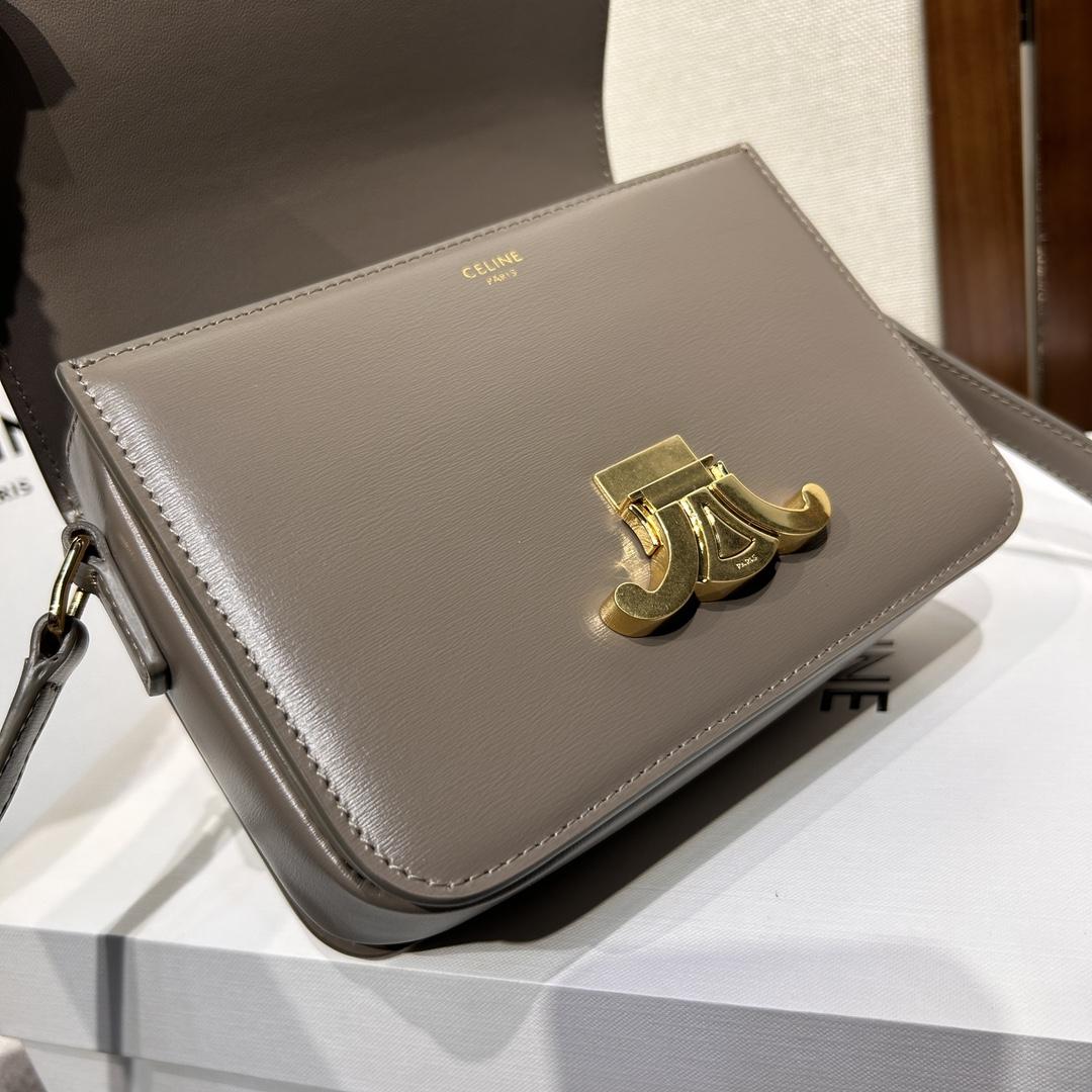 Celine Teen Triomphe Bag In Shiny Calfskin - 
