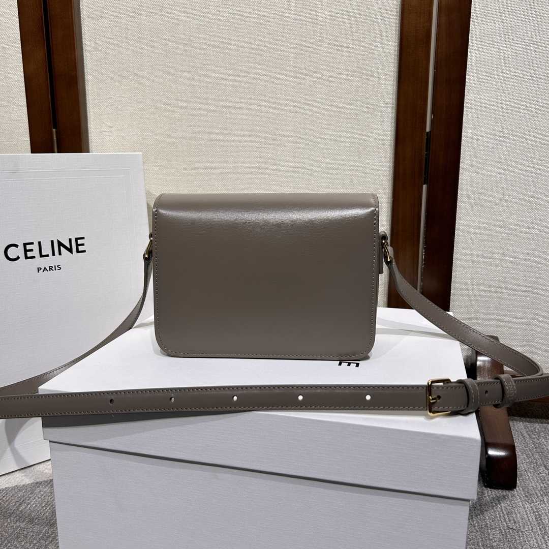 Celine Teen Triomphe Bag In Shiny Calfskin - 