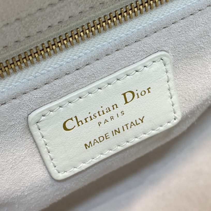 Dior Medium Lady Dior Bag - 