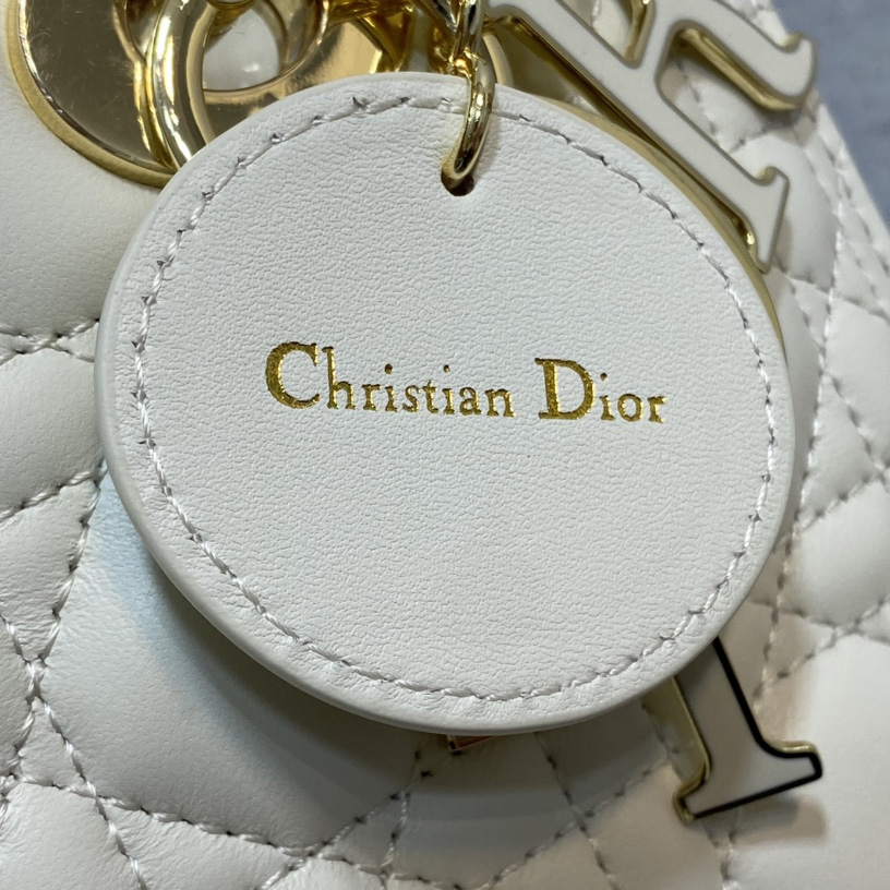 Dior Medium Lady Dior Bag - 