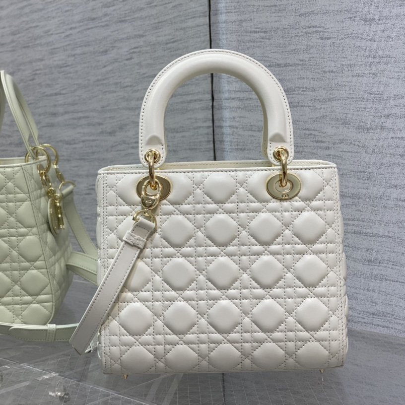 Dior Medium Lady Dior Bag - 