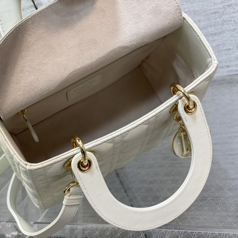 Dior Medium Lady Dior Bag - 