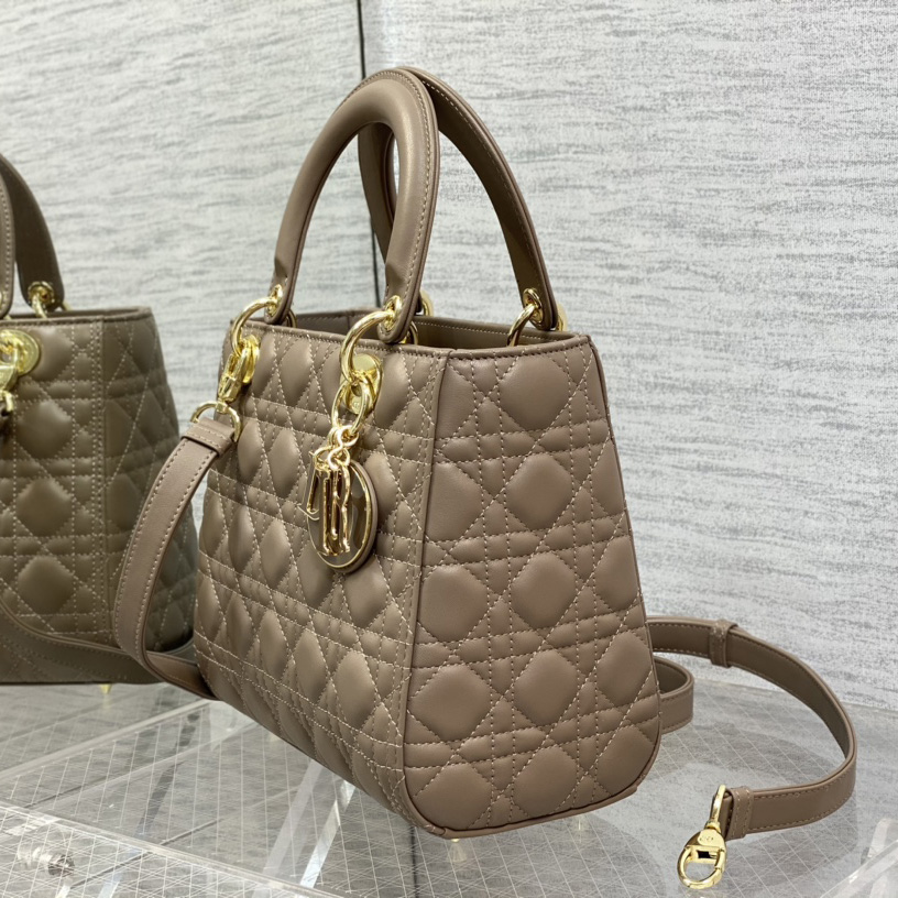 Dior Medium Lady Dior Bag - 