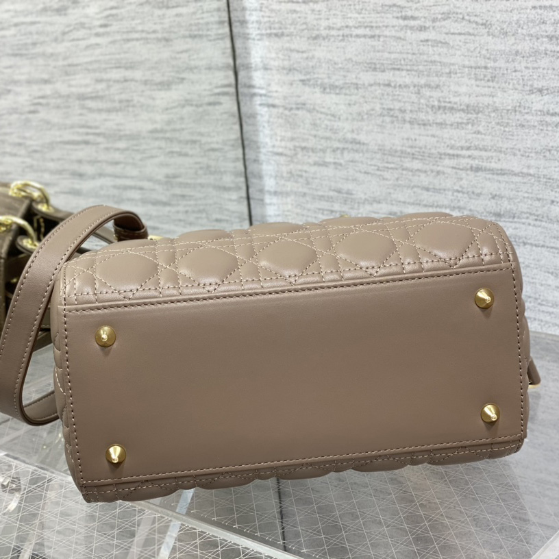 Dior Medium Lady Dior Bag - 