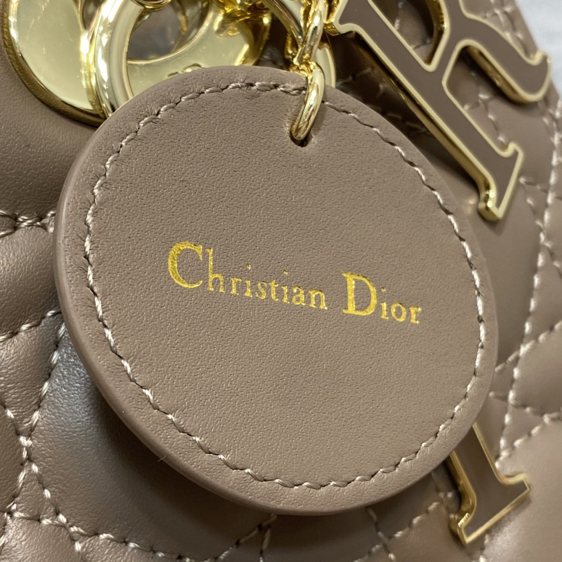 Dior Medium Lady Dior Bag - 