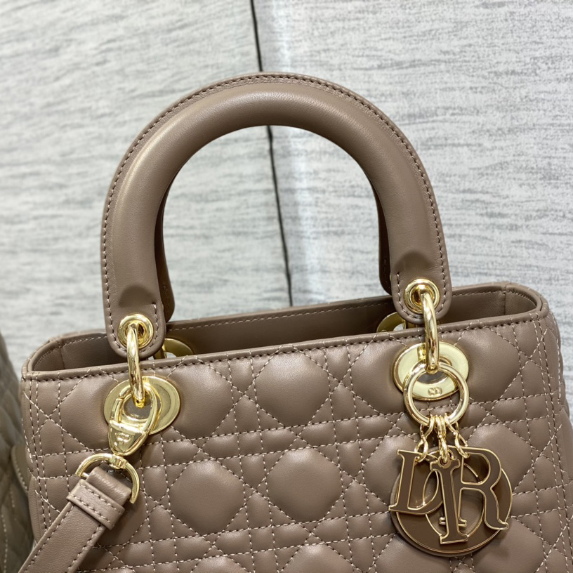 Dior Medium Lady Dior Bag - 