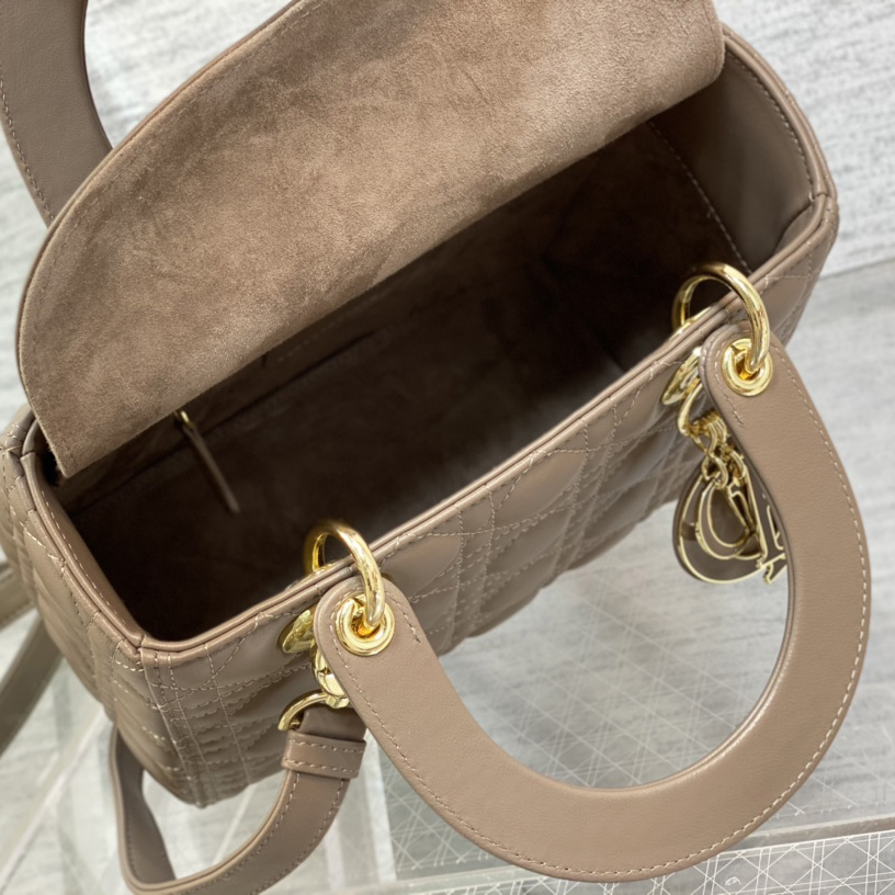 Dior Medium Lady Dior Bag - 