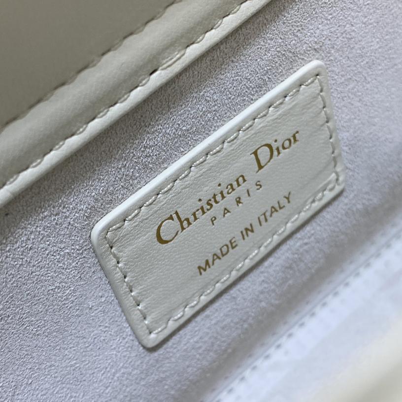 Dior Medium Lady D-Joy Bag - 