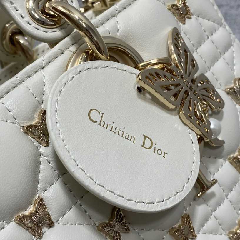 Dior Medium Lady D-Joy Bag - 