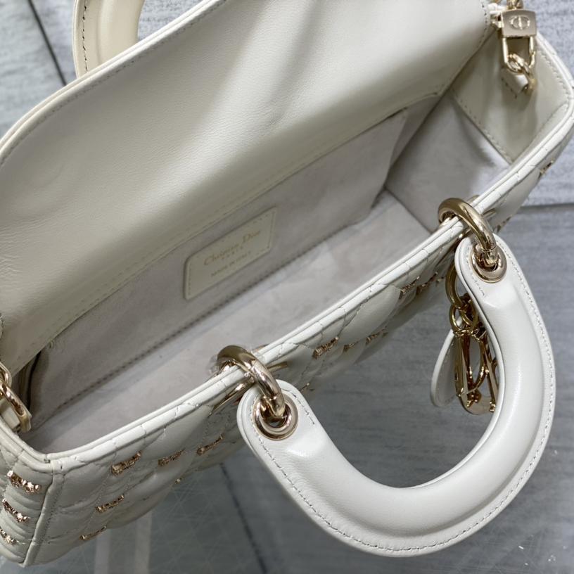 Dior Medium Lady D-Joy Bag - 