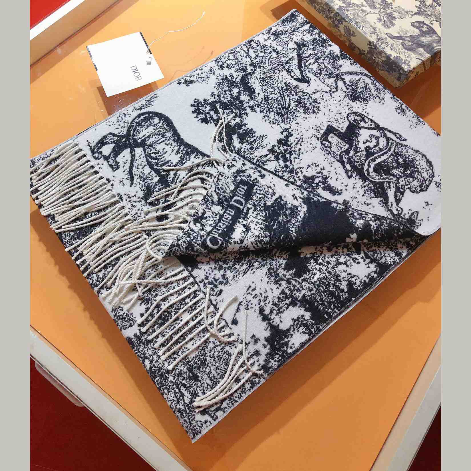 Dior Toile De Jouy Sauvage Scarf  - 