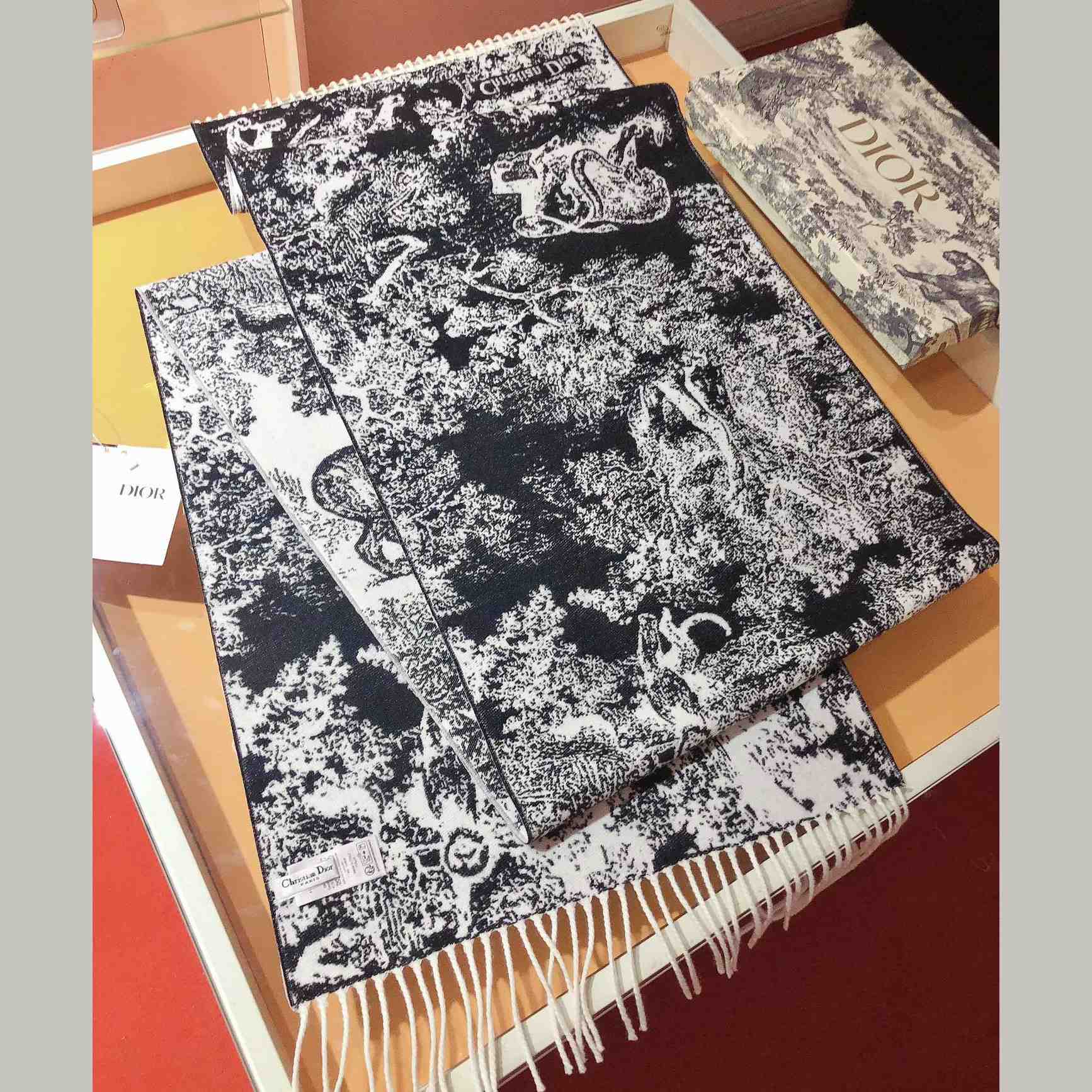 Dior Toile De Jouy Sauvage Scarf  - 