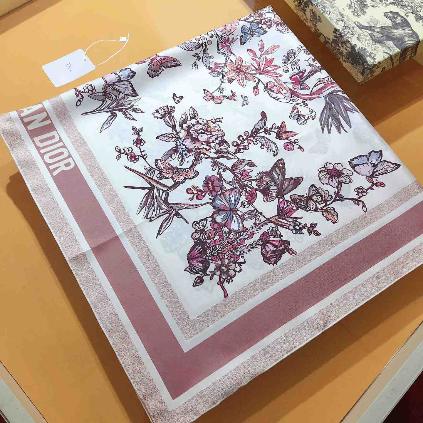 Dior Toile De Jouy Mexico 90 Square Scarf - 