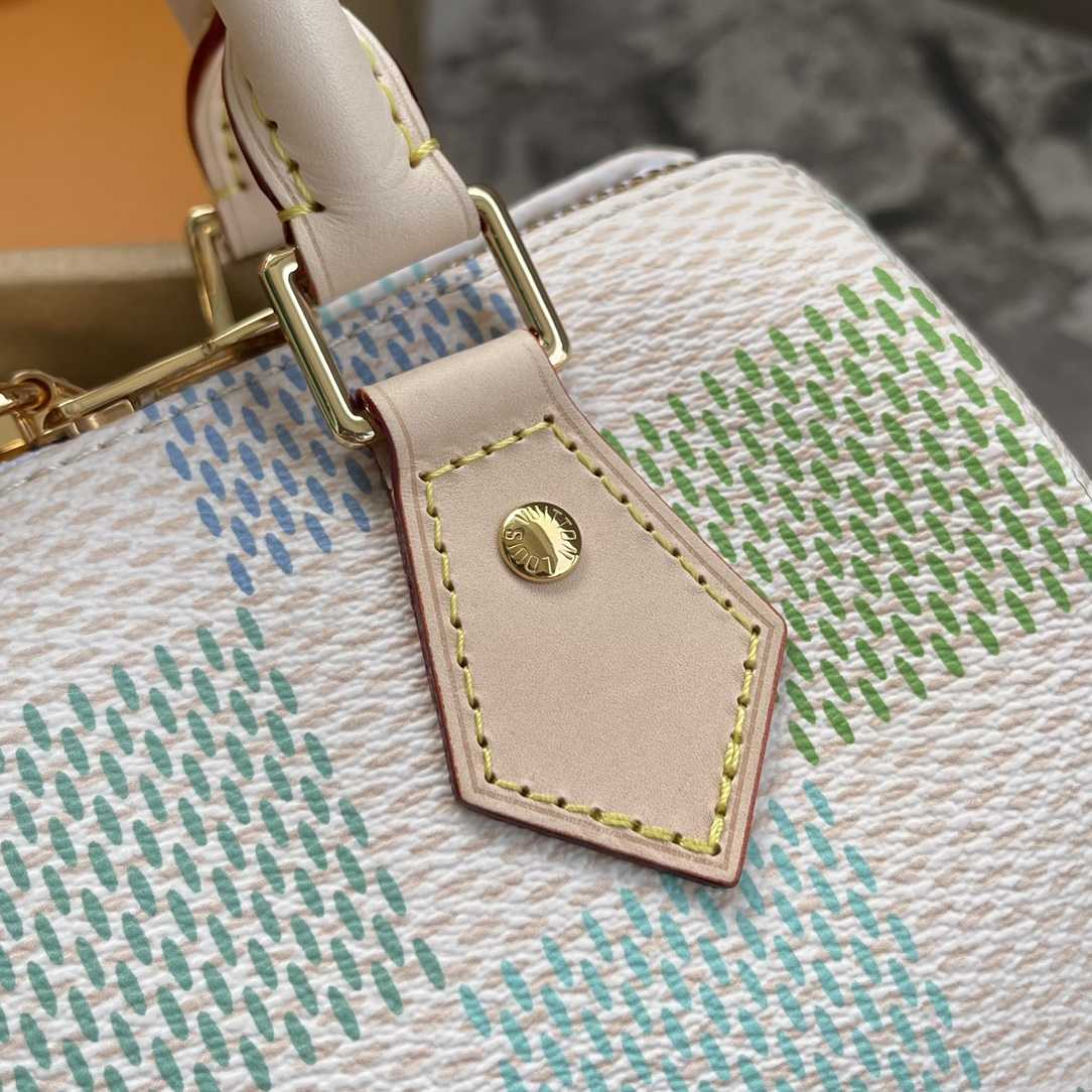 Louis Vuitton Speedy Bandoulière 20   N40515 - 