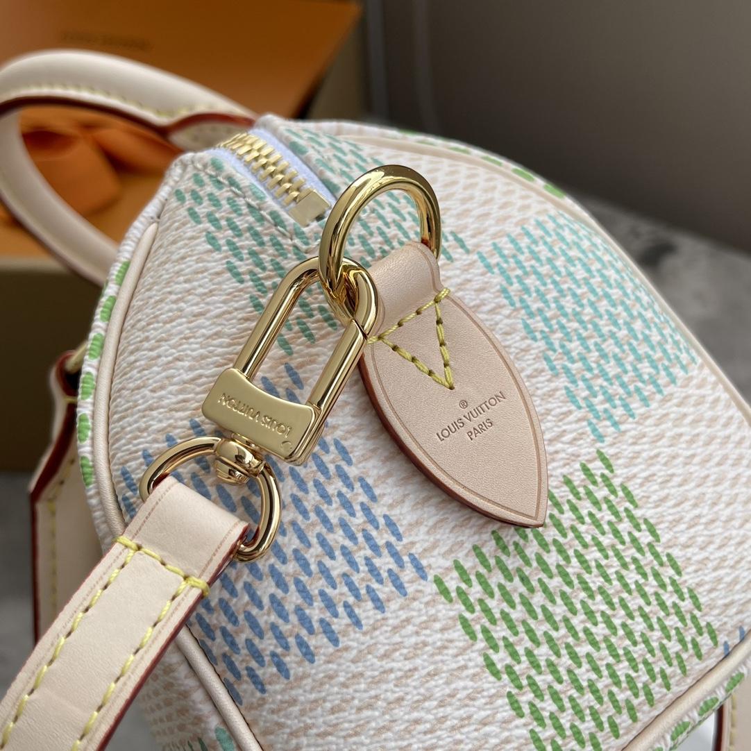 Louis Vuitton Speedy Bandoulière 20   N40515 - 