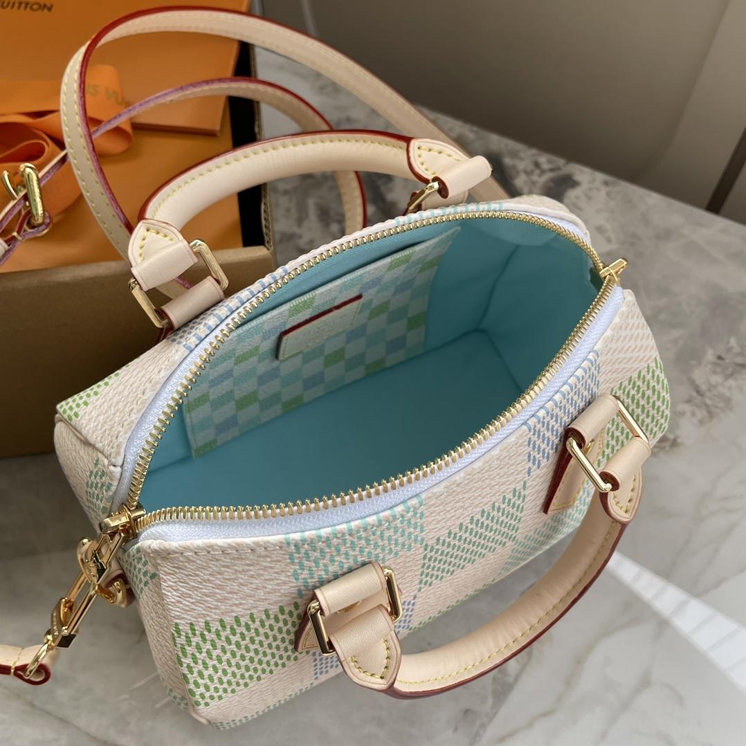Louis Vuitton Speedy Bandoulière 20   N40515 - 